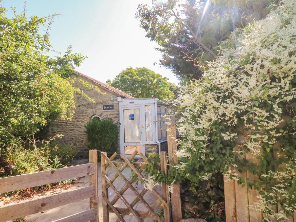 Swyre Mimosa Cottage מראה חיצוני תמונה